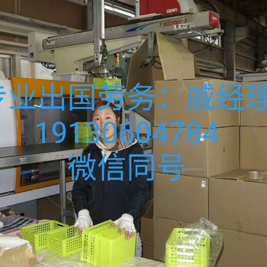 办理出国劳务丹麦电焊工水电工油漆工雇主担保项目