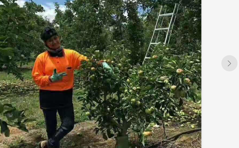 广西梧州正规出国打工费用低，出国签快招普工包吃住