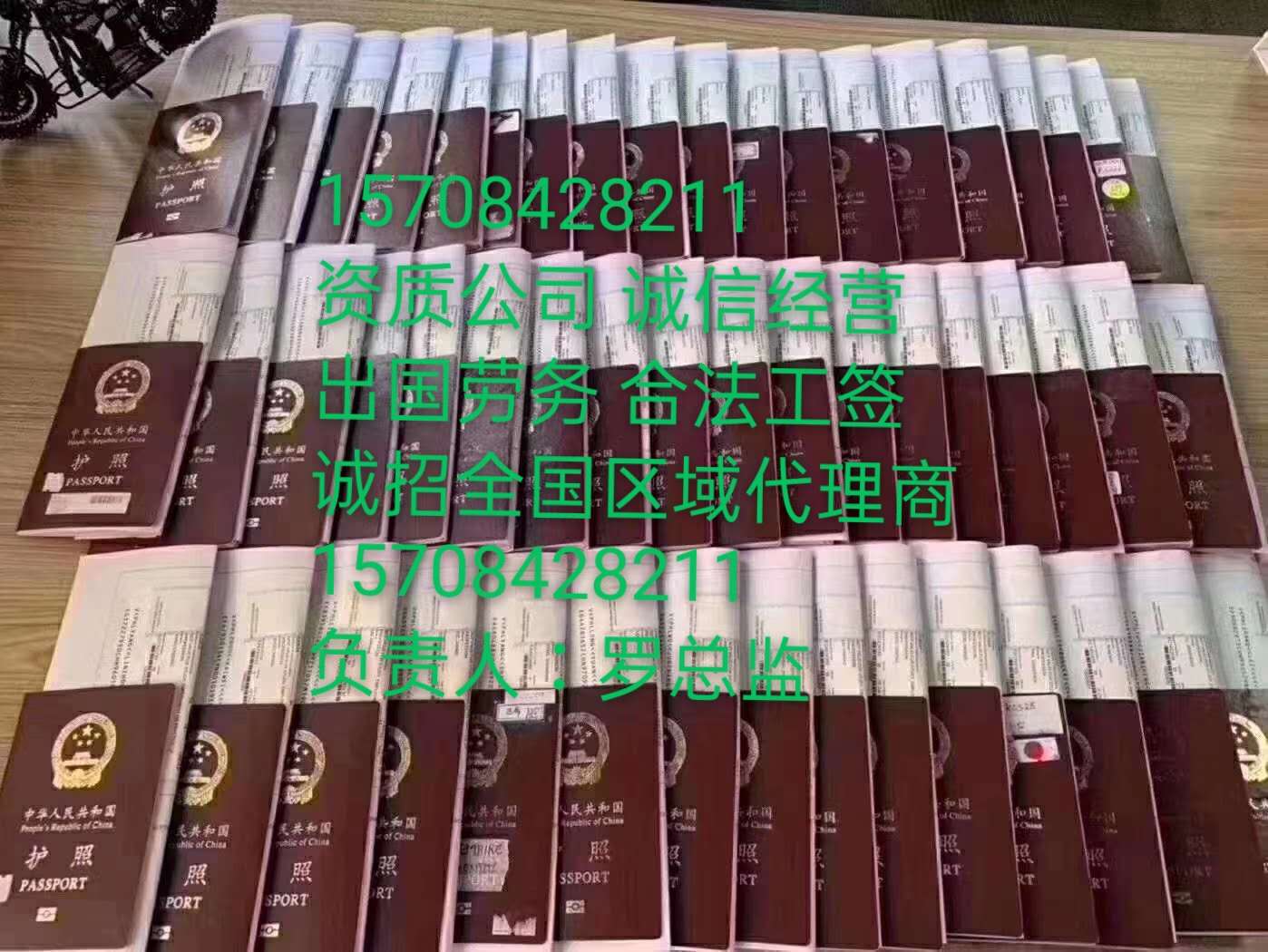 南充出国打工境外就业新西兰招奶粉厂/普工/叉车/货运司机/月入3万