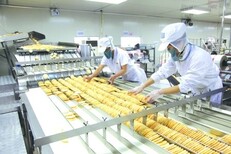 平谷出国打工工厂/食品厂/五金厂/招普工叉车司机图片1