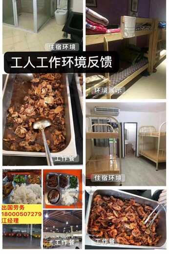 驻马店新西兰劳务急需餐饮凉菜清洁工正规资质