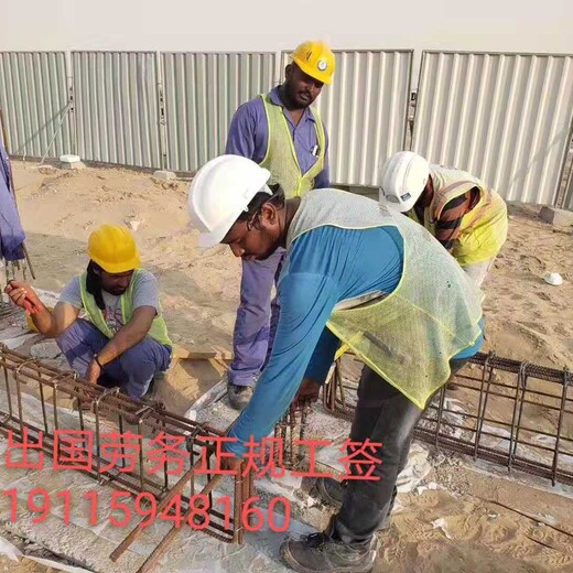 宜宾新西兰2021年新项目建筑工厨师普工司机等月薪3-4万起