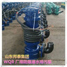 WQB25-10-2.2KW