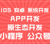 app开发软件_平台专业设计开发_定制+售后一条龙