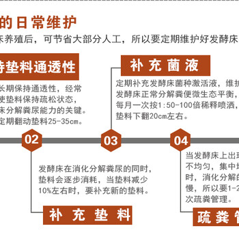 哪个牌子的发酵床菌种做生态床方法简单好操作