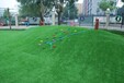 專業幼兒園PVC地板墻裙草坪生產廠家
