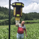 农用太阳能灭蚊灯户外庭院防雨防水杀虫灯灭蚊器果园茶园用诱虫灯