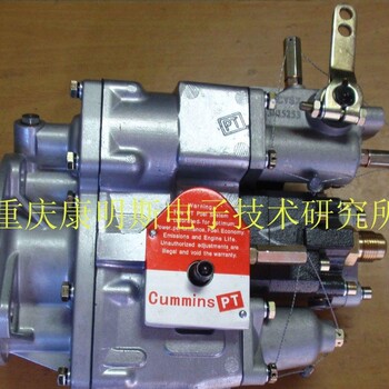 重庆工厂K19康明斯配套厂燃油泵3021966SQ38标定代码
