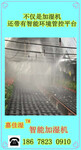 花卉溫室加濕器制造，嘉佳濕加濕機制造