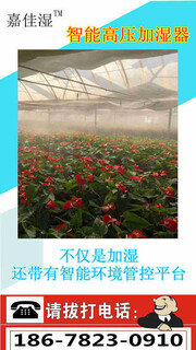 花卉温室加湿器喷雾，嘉佳湿高压喷雾图片5