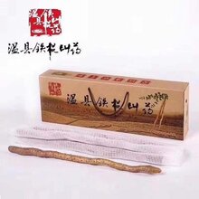 温县铁棍山药的基本特征图片