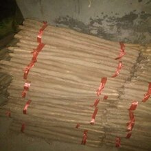 90公分长河南温县铁棍山药现货供应图片