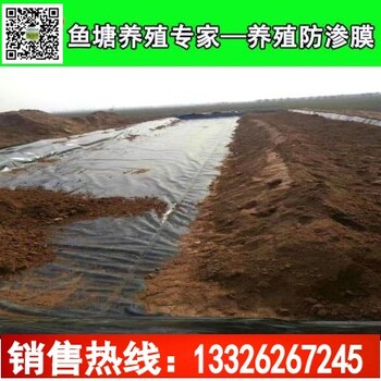 供应水产养殖各种鱼塘虾池土工膜复合土工膜光面土工膜厂家