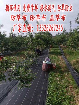 安顺除草布,除草布批发什么价格