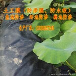 云南EVA防水板厂家.云南EVA防水板生产厂家.EVA防水板价格图片1