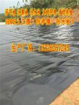 土工膜_防渗膜_复合防水板_吊带防水板_厂家_山东图片0