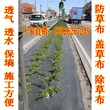 岳阳市果园专用编制除草布一亩地多少钱