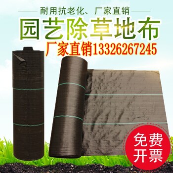 大棚防草布韶關(guān)藍(lán)莓果園地布