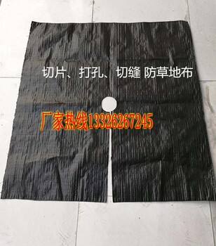 阿壩批發(fā)編織防草布打孔防草布園林防草布廠家