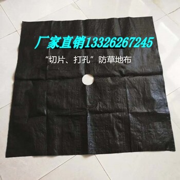 廣東一米乘一米的防草地布