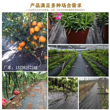 除草布是無紡布好還是編織布好?-無紡布