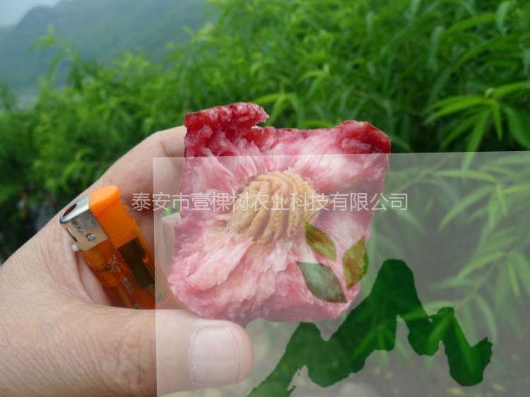 采購