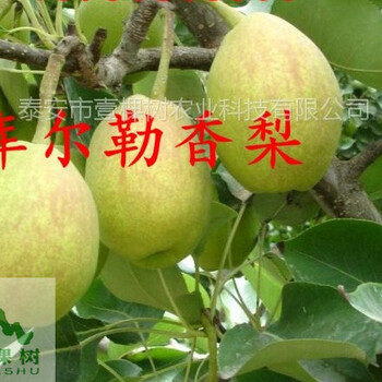 采購(gòu)