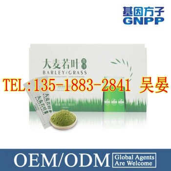 微商大麦青汁固体饮料OEM代加工厂商