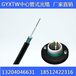 GYXTW-12AGYXTW12芯多模光缆中心束管铠装光缆监控布线OM3光纤