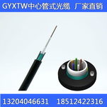 GYXTW-12AGYXTW12芯多模光缆中心束管铠装光缆监控布线OM3光纤