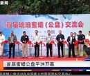 首届琥珀蜜蜡公盘交流会——广东电视台报道图片