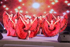 广州鼓韵演出服务创意节目承接各种演出活动图片5