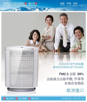 瑞士風(fēng)空氣凈化器廠家售后家用殺菌除煙味