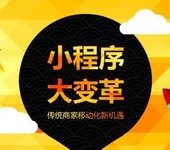 网站建设维护，软件开发,小程序开发，公众号开发运营