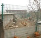 青海网围栏双边丝护栏工地围栏网铁丝网护栏浸塑防护网公司