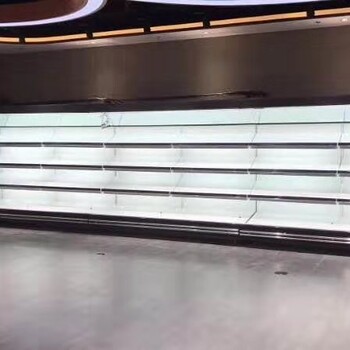 立式冷風柜可定制牛奶展示柜保鮮柜定制廠家飲品展示柜幕風柜