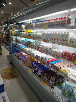 鄭州商用風冷冰柜冷風柜廠家產(chǎn)地