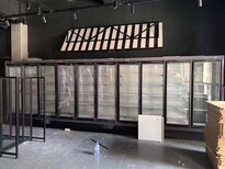 郑州定制立风柜展示柜超市冷柜后补式冷库图片2