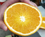 上海进口澳洲橙水果批发/进口水果南非橙子批发价格