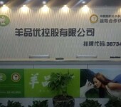 中国冠军品质羊奶粉系列开发