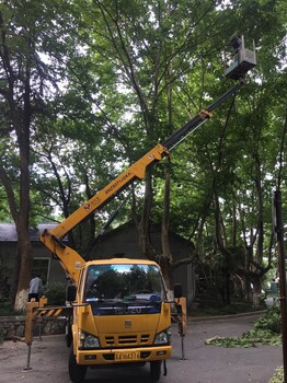 麻城10米高空车出租，黄冈路灯车租赁