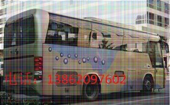 石狮到长岛大巴车发车时间图片0
