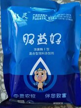 温亢图片