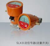 西安SLX示流信号器（流量开关）