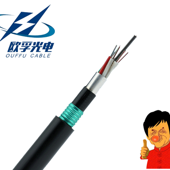 GYTA536芯光缆重铠装地埋直埋光缆重铠装防鼠咬光缆GYTA53-6B1光缆厂家