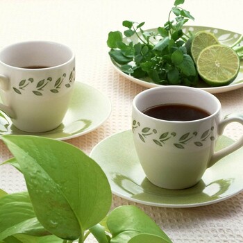深圳绿茶种类杀青绿茶加工红茶办公茶叶礼品