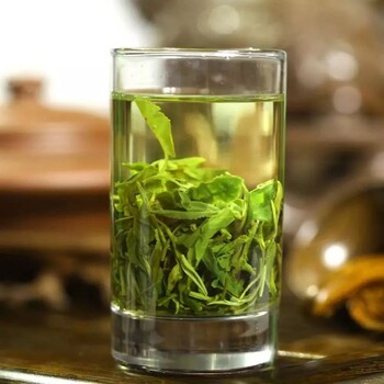 深圳绿茶冬季红茶暖心绿茶加工绿茶批发粤北半山沿绿茶