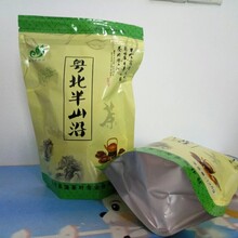 广州明前茶标准茶采摘绿茶红茶广州春茶绿茶