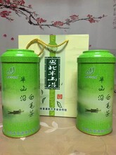 绿茶种类杀青绿茶加工红茶办公茶叶礼品绿茶历史