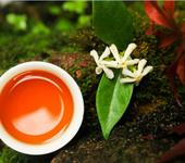 广东绿茶韶关绿茶高山绿茶大自然生产的绿茶乐昌白毛茶